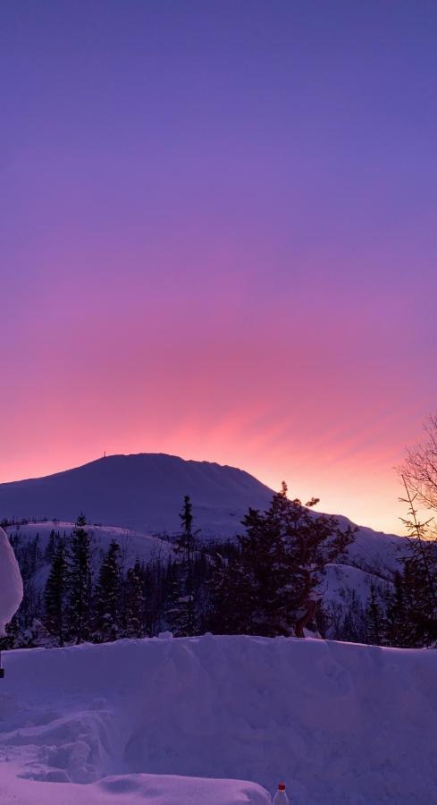 Gaustablikk Sportshytte Midt I Naturen Rjukan Zewnętrze zdjęcie